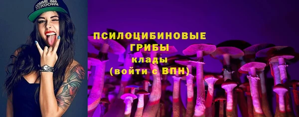 МДПВ Липки
