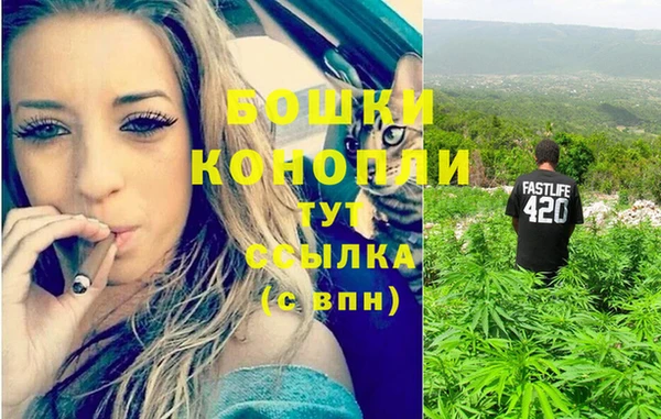 МДПВ Липки