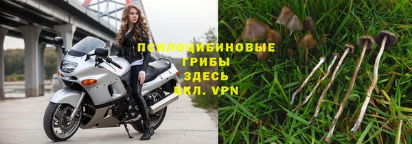 МДПВ Липки