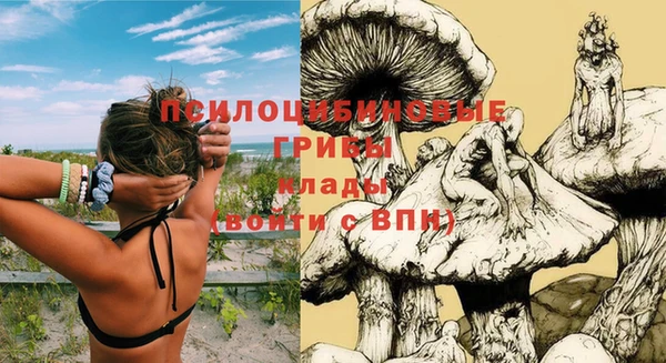прущие крисы Лихославль