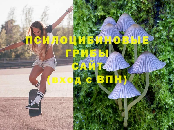 крисы Лиски