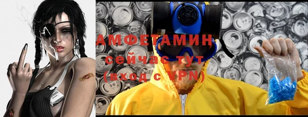 МДПВ Липки