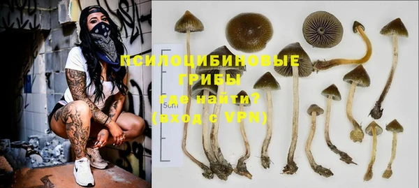 МДПВ Липки