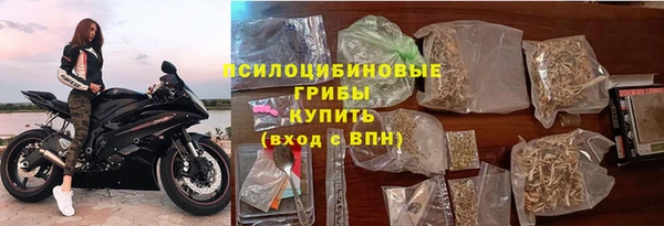МДПВ Липки