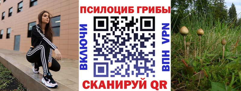 Купить где  Суворов  Псилоцибиновые грибы GOLDEN TEACHER 